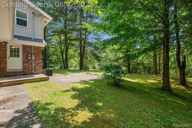 5836 Ewalt Rd, Imlay City, MI 48444 - view of green lawn
