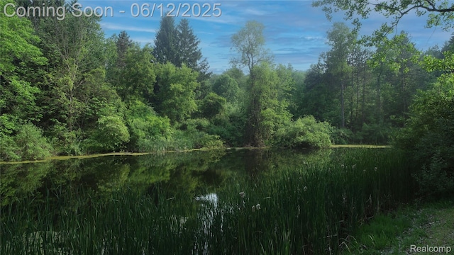 5836 Ewalt Rd, Imlay City, MI 48444 - water view with a heavily wooded area