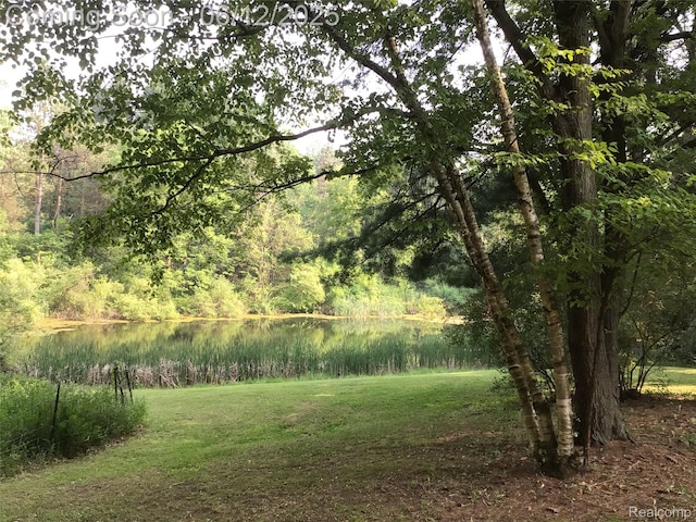 5836 Ewalt Rd, Imlay City, MI 48444 - view of grassy yard with a forest view and a water view
