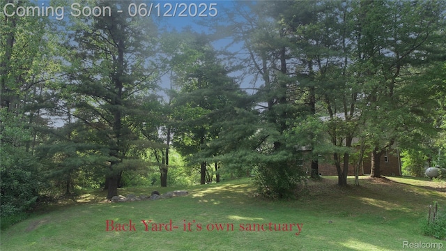 5836 Ewalt Rd, Imlay City, MI 48444 - view of grassy yard