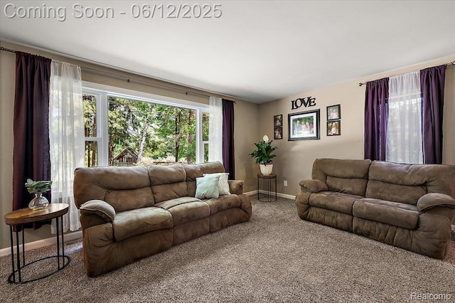 5836 Ewalt Rd, Imlay City, MI 48444 - living area featuring carpet and baseboards