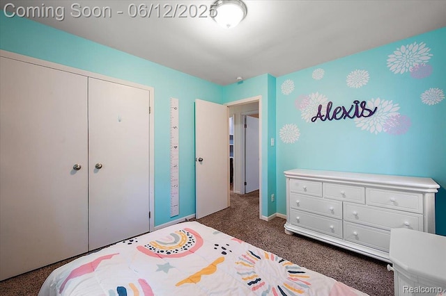 5836 Ewalt Rd, Imlay City, MI 48444 - bedroom with dark colored carpet and a closet