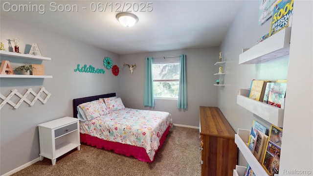 5836 Ewalt Rd, Imlay City, MI 48444 - carpeted bedroom featuring baseboards