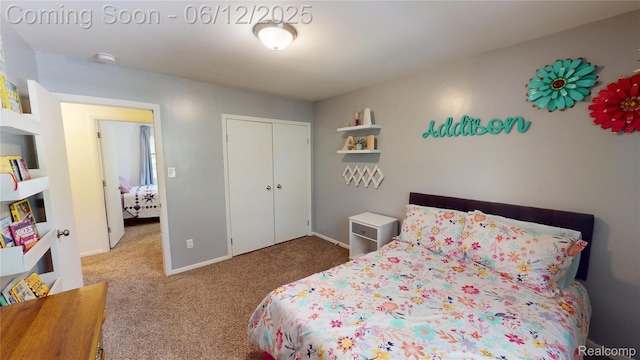 5836 Ewalt Rd, Imlay City, MI 48444 - bedroom featuring carpet floors and a closet