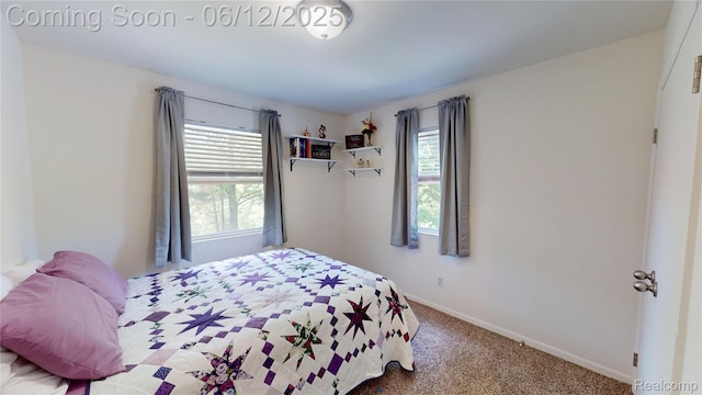 5836 Ewalt Rd, Imlay City, MI 48444 - bedroom with carpet flooring and baseboards