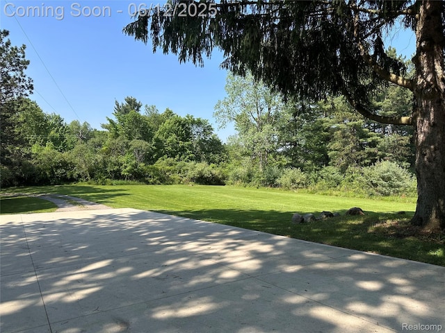 5836 Ewalt Rd, Imlay City, MI 48444 - view of patio / terrace with a view of trees