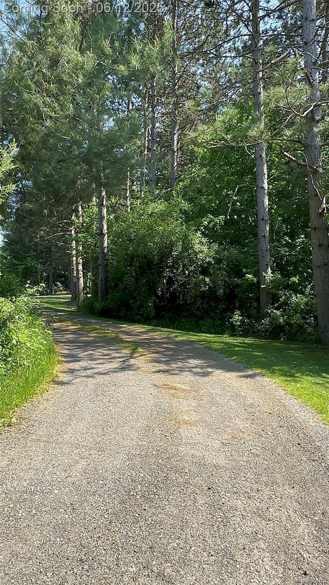 5836 Ewalt Rd, Imlay City, MI 48444 - view of dirt / gravel road