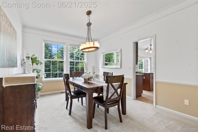 7244 Millrock Ave, Shelby Twp, MI 48317 - dining area with a chandelier, light carpet, and ornamental molding