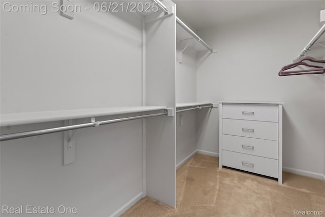 7244 Millrock Ave, Shelby Twp, MI 48317 - walk in closet featuring light colored carpet