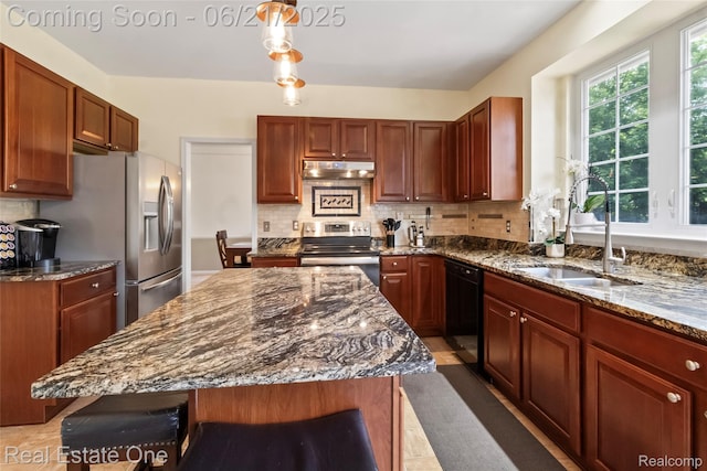 7244 Millrock Ave, Shelby Twp, MI 48317 - kitchen featuring stainless steel appliances, under cabinet range hood, healthy amount of natural light, and dark stone counters