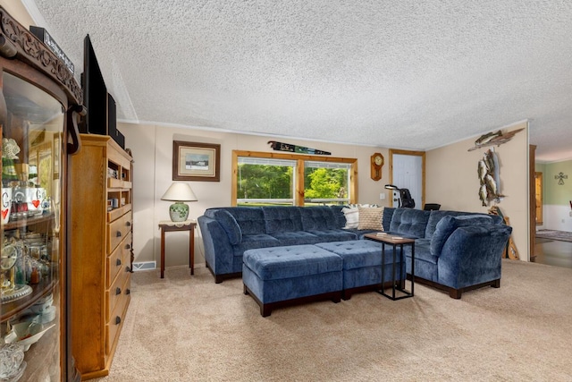 3858 S Chestnut Ave, Newaygo, MI 49337 - living room with light colored carpet, a textured ceiling, and ornamental molding