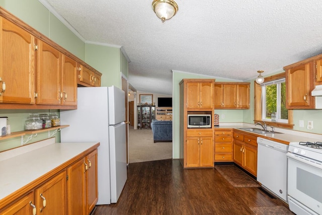 3858 S Chestnut Ave, Newaygo, MI 49337 - kitchen with white appliances, a textured ceiling, a sink, light countertops, and range hood