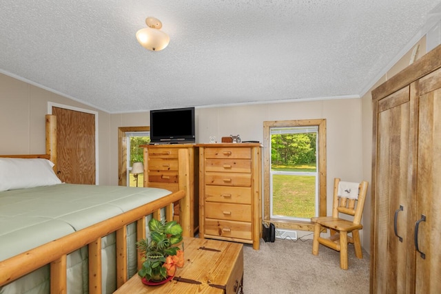 3858 S Chestnut Ave, Newaygo, MI 49337 - carpeted bedroom featuring a textured ceiling and ornamental molding