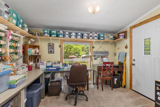 3858 S Chestnut Ave, Newaygo, MI 49337 - carpeted office with a textured ceiling and ornamental molding