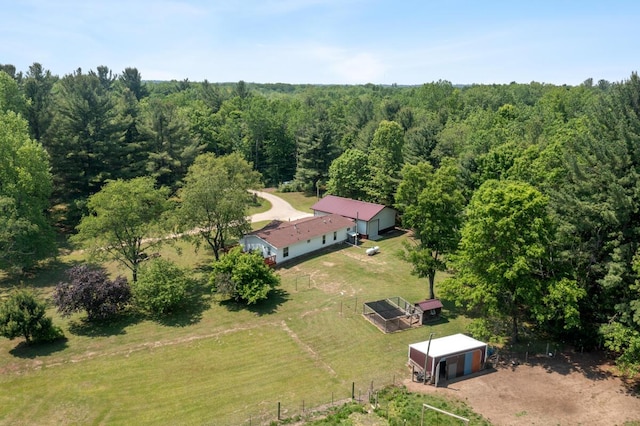 3858 S Chestnut Ave, Newaygo, MI 49337 - view from above of property featuring a forest