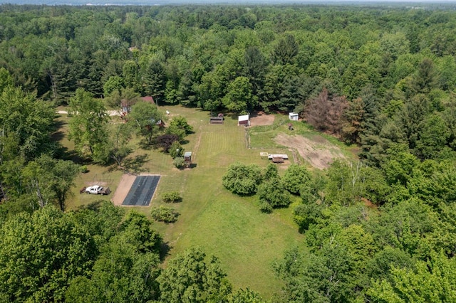 3858 S Chestnut Ave, Newaygo, MI 49337 - aerial view of a forest