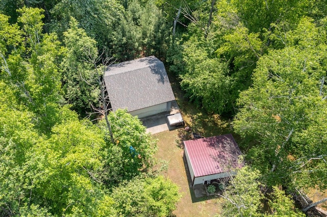 3858 S Chestnut Ave, Newaygo, MI 49337 - aerial view of property and surrounding area with a forest