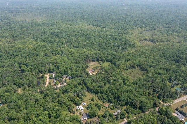 3858 S Chestnut Ave, Newaygo, MI 49337 - aerial overview of property's location with a heavily wooded area