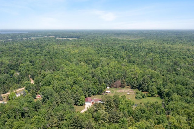 3858 S Chestnut Ave, Newaygo, MI 49337 - aerial view of a forest