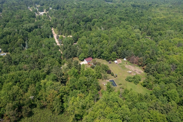 3858 S Chestnut Ave, Newaygo, MI 49337 - aerial view of property's location featuring a forest