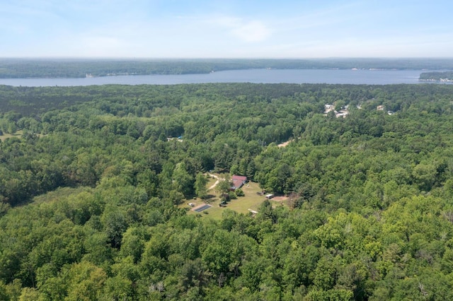 3858 S Chestnut Ave, Newaygo, MI 49337 - bird's eye view of a forest and a nearby body of water