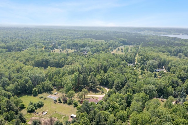 3858 S Chestnut Ave, Newaygo, MI 49337 - drone / aerial view of a heavily wooded area