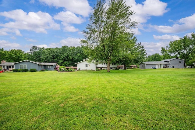 5549 Newton Ave, Coloma, MI 49038 - view of grassy yard