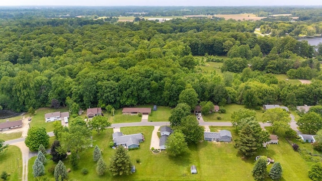 5549 Newton Ave, Coloma, MI 49038 - drone / aerial view of a forest