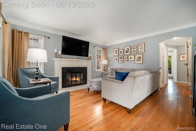 122 N Wilson Ave, Royal Oak, MI 48067 - living area with a fireplace with flush hearth, healthy amount of natural light, light wood-style flooring, and ornamental molding