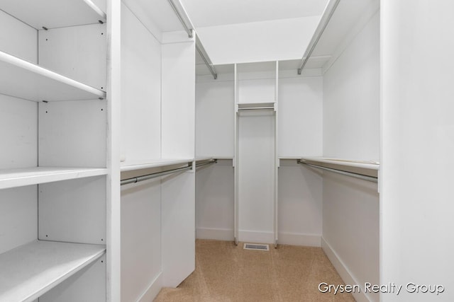 971 Aberdeen Way, Hudsonville, MI 49426 - view of walk in closet