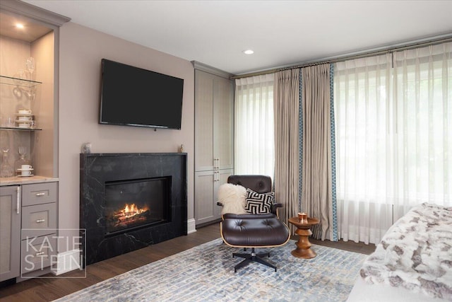 1110 Breton Rd SE, East Grand Rapids, MI 49506 - living area featuring dark wood-style flooring, a premium fireplace, and recessed lighting
