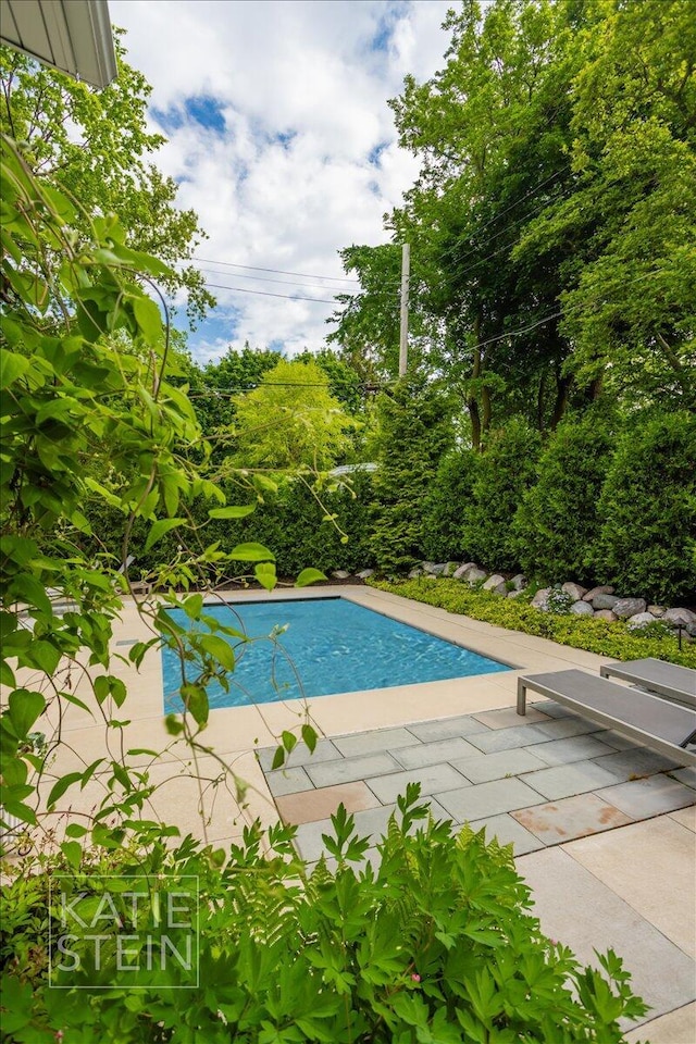 1110 Breton Rd SE, East Grand Rapids, MI 49506 - outdoor pool with a patio and view of wooded area