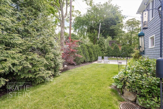 1110 Breton Rd SE, East Grand Rapids, MI 49506 - view of grassy yard