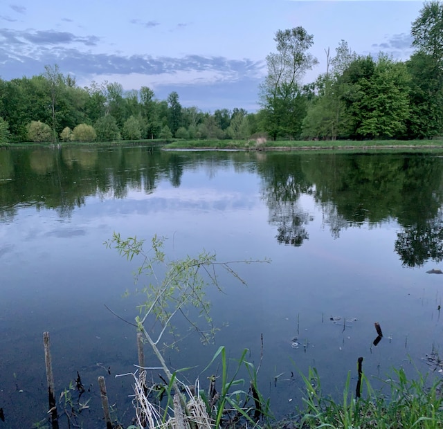 821 W Baseline Rd, Plainwell, MI 49080 - water view featuring a heavily wooded area