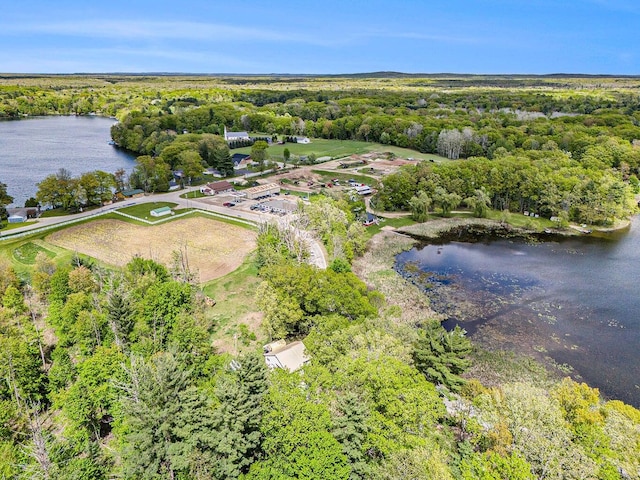 5729 N Bass Lake Rd, Irons, MI 49644 - view of property location with a nearby body of water and a forest