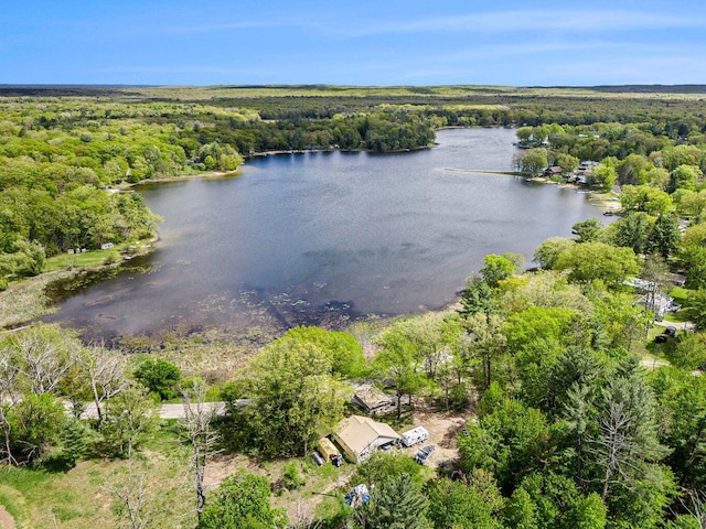 5729 N Bass Lake Rd, Irons, MI 49644 - drone / aerial view of a heavily wooded area and a nearby body of water