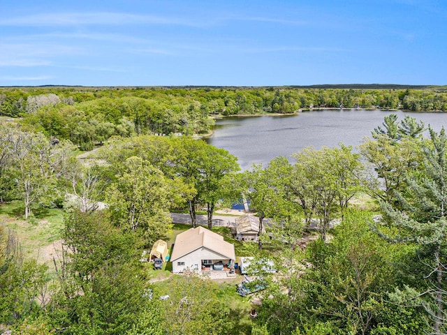 5729 N Bass Lake Rd, Irons, MI 49644 - aerial view of property and surrounding area featuring a nearby body of water and a forest