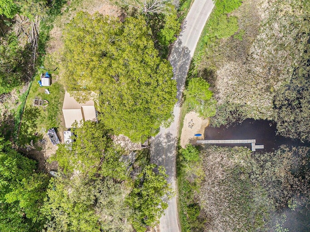 5729 N Bass Lake Rd, Irons, MI 49644 - drone / aerial view