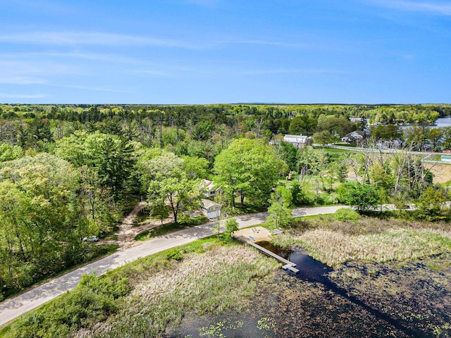 5729 N Bass Lake Rd, Irons, MI 49644 - view of yard with a forest view