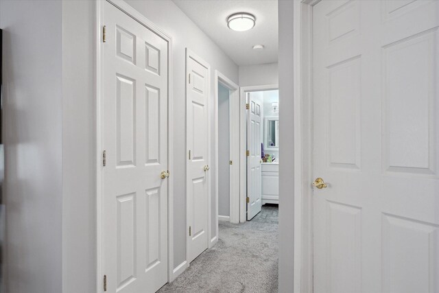340 E 4th St, Onsted, MI 49265 - hallway with light colored carpet and baseboards