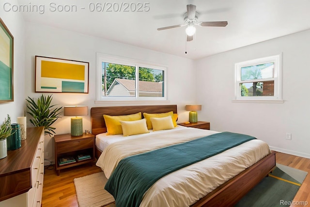 29424 Oakley St, Livonia, MI 48154 - bedroom featuring multiple windows, wood finished floors, and ceiling fan