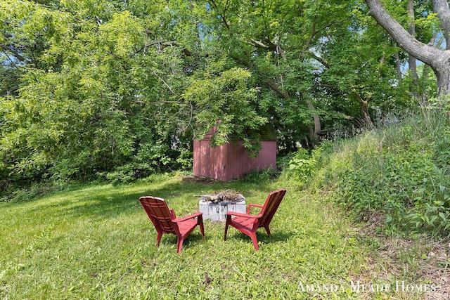 443 Nicholson St, Ionia, MI 48846 - view of yard with a storage unit and an outdoor fire pit