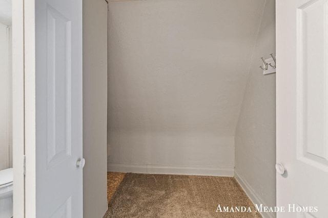443 Nicholson St, Ionia, MI 48846 - spacious closet with carpet floors