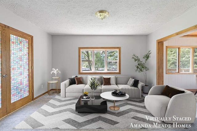 443 Nicholson St, Ionia, MI 48846 - carpeted living area featuring a textured ceiling