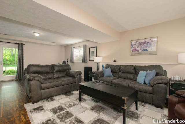 1706 Steff Ct SW, Wyoming, MI 49519 - living room featuring wood finished floors and plenty of natural light