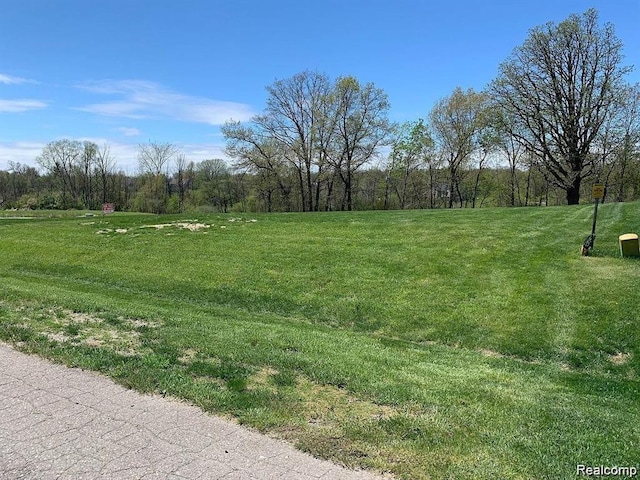 550 Pheasant Ridge Ct, Ortonville, MI 48462