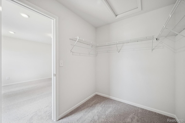 4311 Oak St, Grand Blanc, MI 48439 - walk in closet with carpet