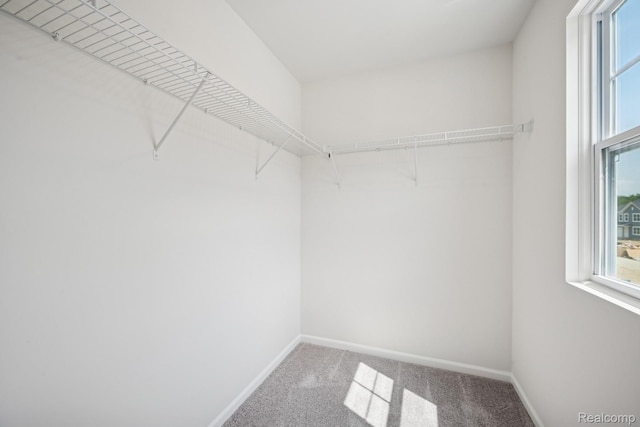 4311 Oak St, Grand Blanc, MI 48439 - walk in closet featuring carpet