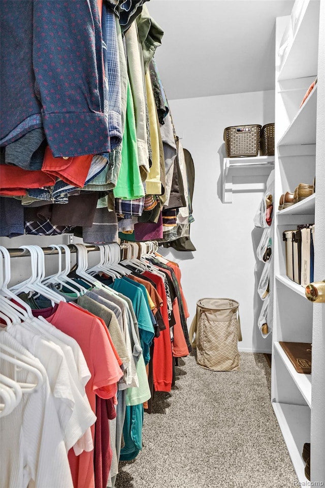 54286 Bradshaw Dr, New Baltimore, MI 48047 - walk in closet featuring carpet floors