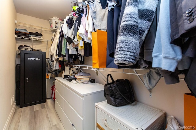 52854 Schafers Run Ct, New Baltimore, MI 48051 - spacious closet featuring light wood-style flooring